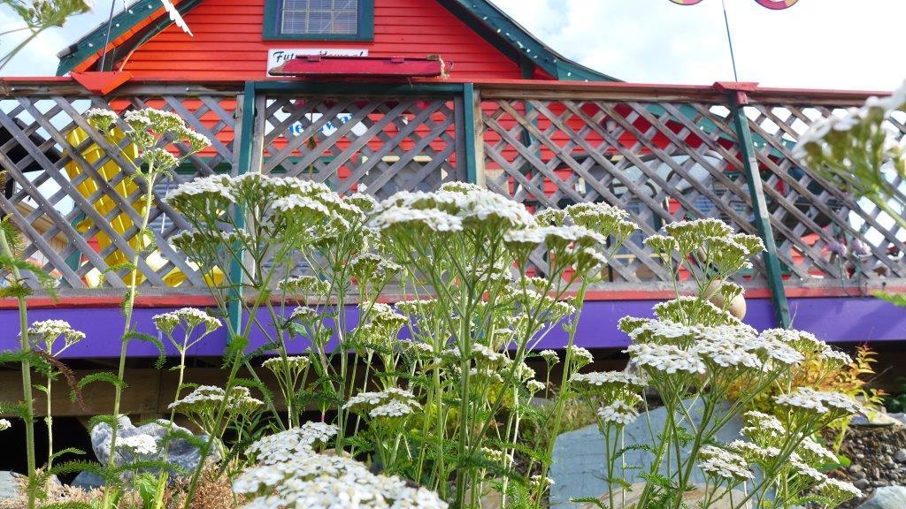 Mountain Thyme Getaway Hotel Barkerville Exterior foto